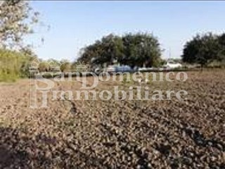 Terreno agricolo in Vendita a Pisa, zona Ospedaletto, 25'000€, 1310 m²