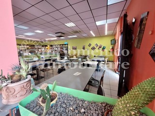 Capannone in Vendita a Vicopisano, zona Lugnano, 152'000€, 190 m²