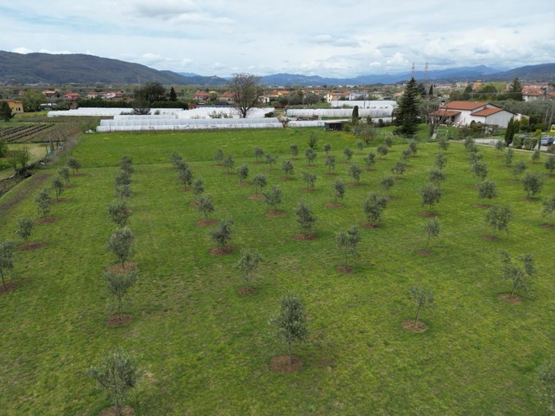 Terreno agricolo in Vendita a Luni, zona Luni Antica, 89'000€, 5100 m²