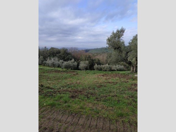 Casa Semi Indipendente in Vendita a Vinci, zona Vitolini, 170'000€, 130 m²