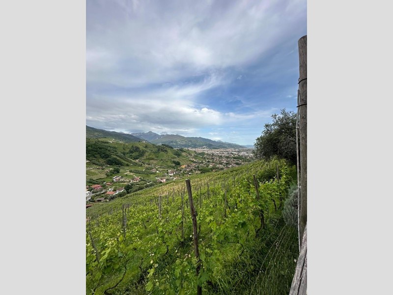 Villa bifamiliare in Vendita a Massa, 800'000€, 280 m², arredato