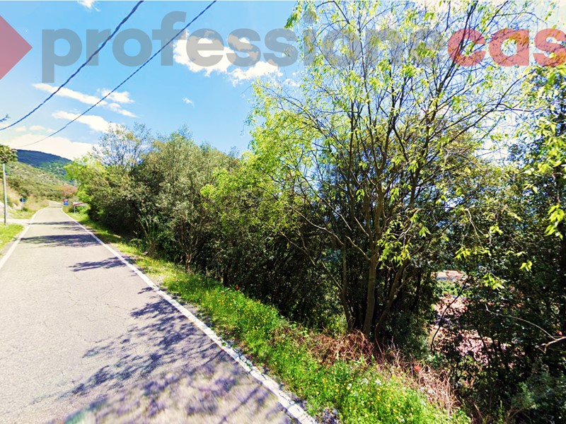 Terreno agricolo in Vendita a Villa Santa Lucia, 10'000€, 2900 m²