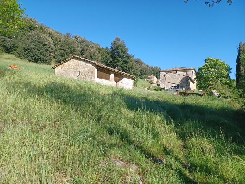Casale in Vendita a Casole d'Elsa, 500'000€, 640 m²