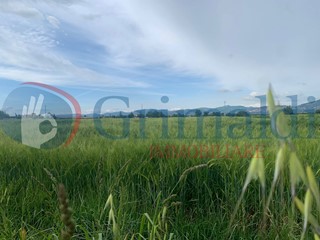 Terreno agricolo in Vendita a Bettona, 25'000€, 10000 m²
