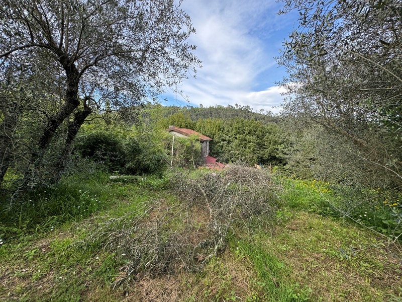 Terreno agricolo in Vendita a Follo, zona Bastremoli, 59'000€, 