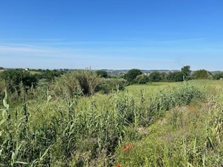 Terreno edificabile in Vendita a Sant'Angelo Romano, 85'000€, 8170 m²