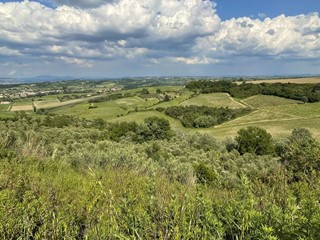 Terreno agricolo in Vendita a San Miniato, 80'000€, 50000 m²