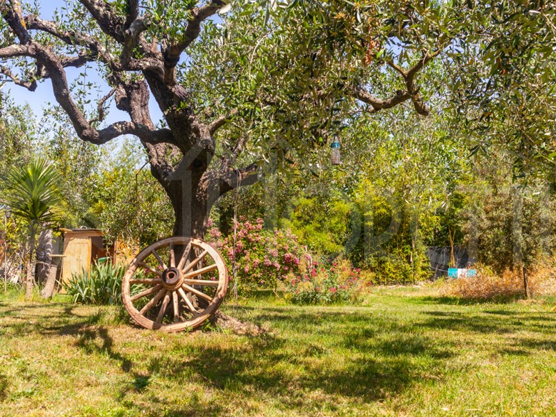 Terreno agricolo in Vendita a Livorno, 58'000&euro;, 2000 m²