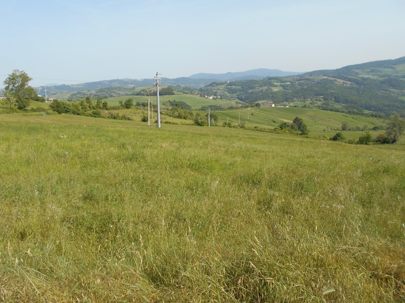 Casa Semi Indipendente in Vendita a Ponte dell'Olio, 20'000€, 90 m², con Box