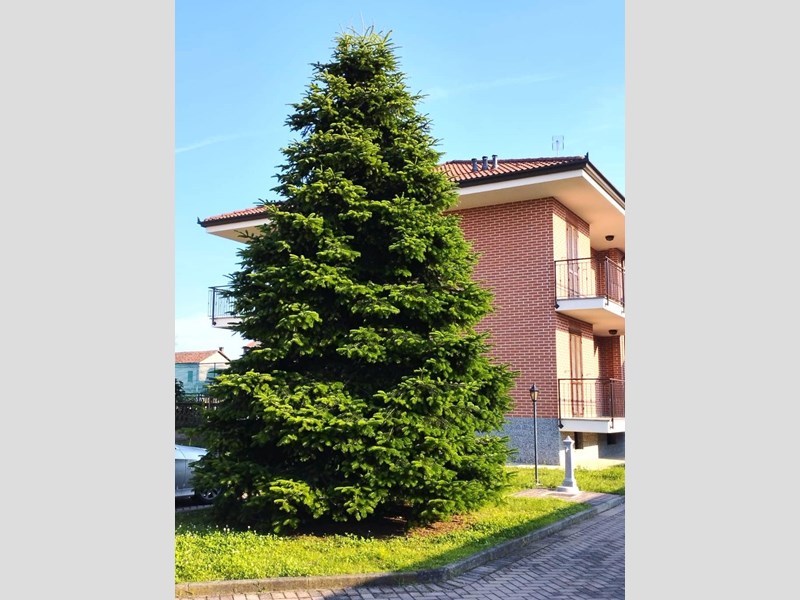 Bilocale in Affitto a Volpiano, 550€, 65 m²