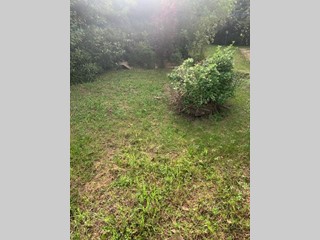 Casa Indipendente in Vendita a Cascina, 490'000€, 385 m², con Box