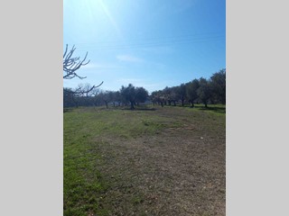 Terreno agricolo in Vendita a Torrevecchia Teatina, 60'000€, 1000 m²