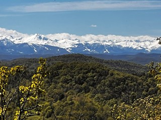Casa Indipendente in Vendita a Giusvalla, 50'000€, 27700 m²