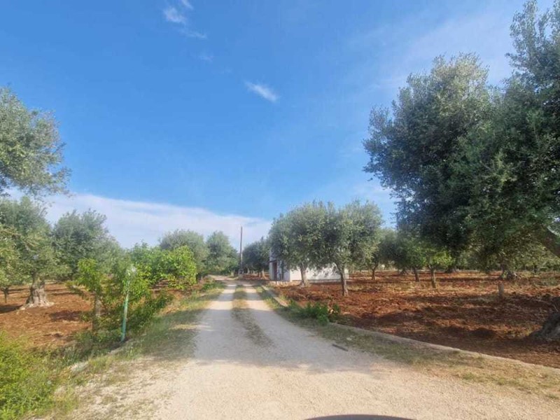 Casa Indipendente in Vendita a Monopoli, zona COLLINA, 55'000€, 51 m²