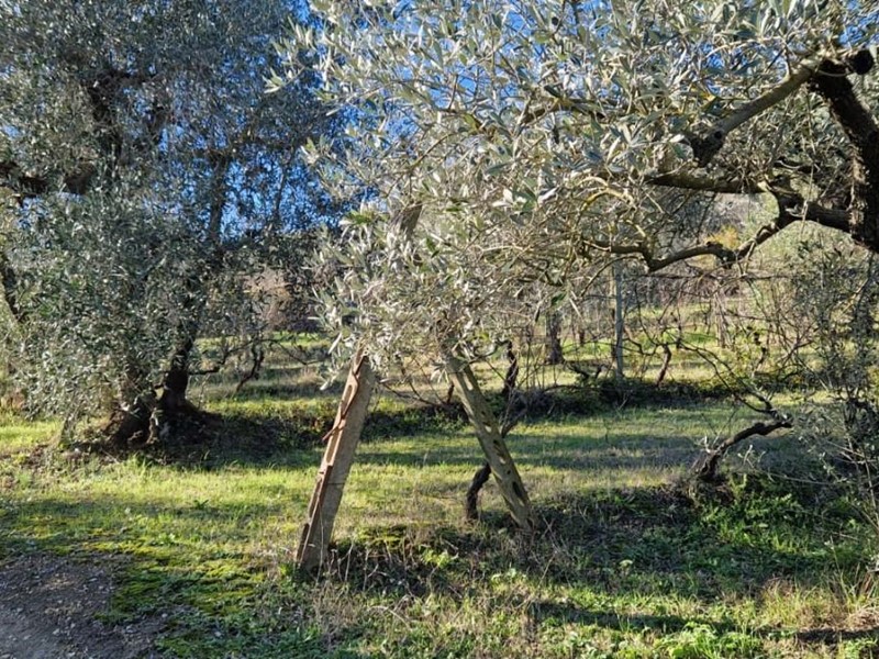 Terreno agricolo in Vendita a Casciana Terme Lari, 25'000€, 11430 m²