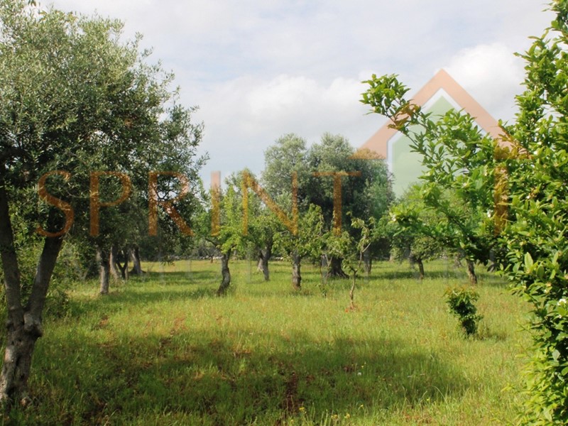 Terreno agricolo in Vendita a Monopoli, 26'000€, 9285 m²