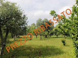 Terreno agricolo in Vendita a Monopoli, 26'000€, 9285 m²