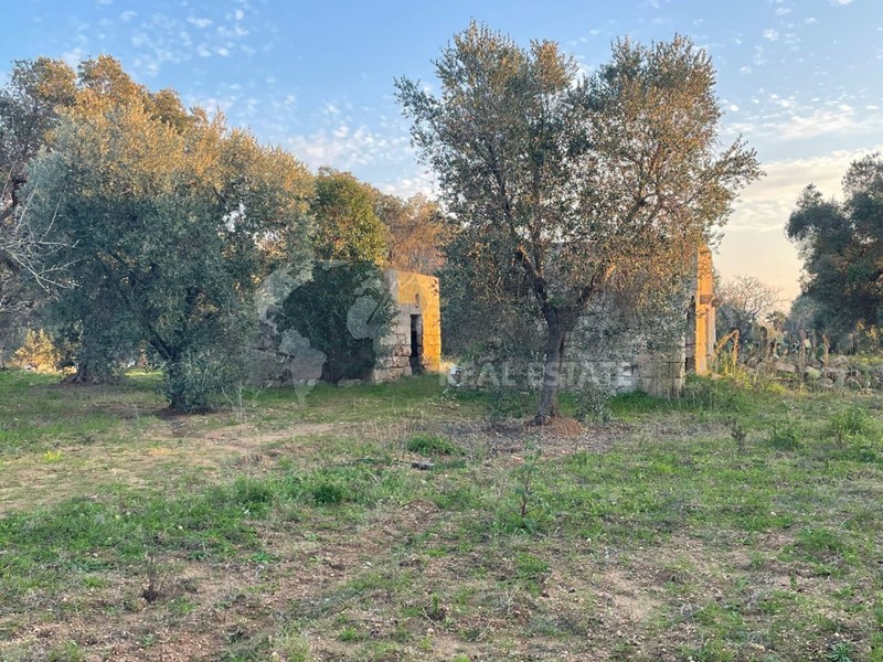 Terreno agricolo in Vendita a Carovigno, 35'000€, 12500 m²