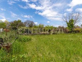 Terreno industriale in Vendita a Valverde, 580'000€, 15600 m²