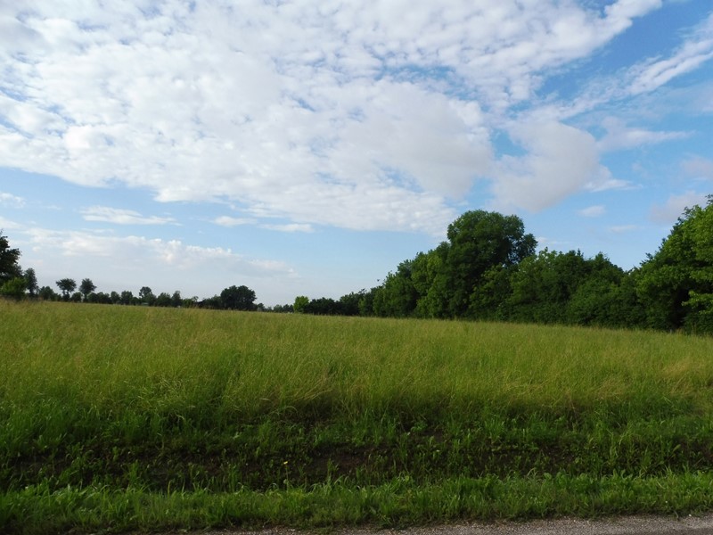 Terreno edificabile in Vendita a Marostica, 155'000€, 3600 m²