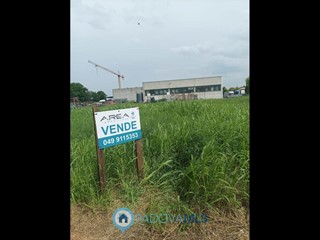 Terreno agricolo in Vendita a Terrassa Padovana, 50'000€, 1260 m²