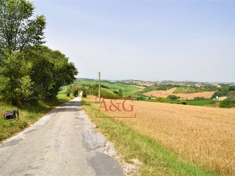 Terreno agricolo in Vendita a Torre San Patrizio, zona Centro, 120'000€, 80000 m²