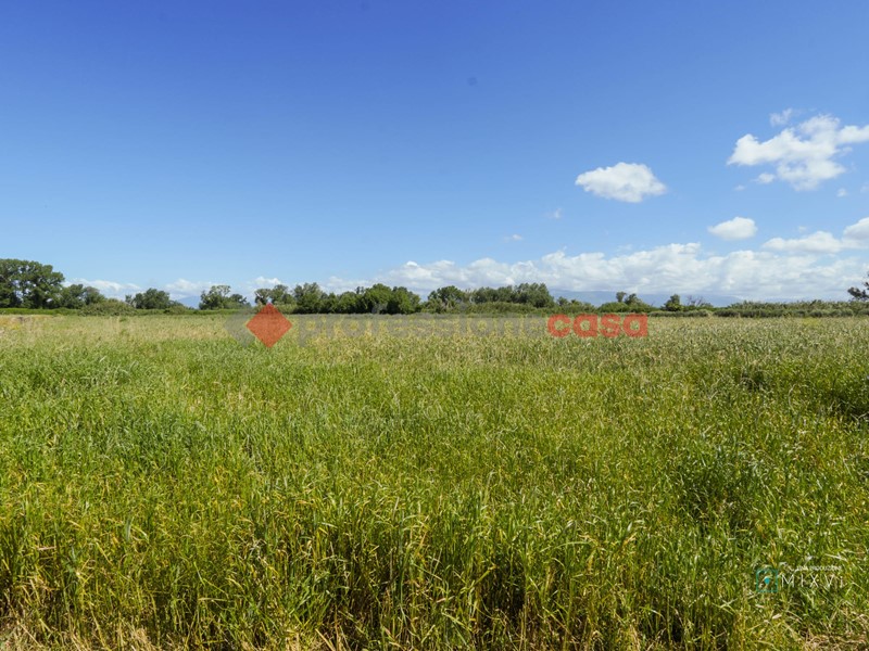 Terreno agricolo in Vendita a Capaccio Paestum, 300'000€, 60000 m²