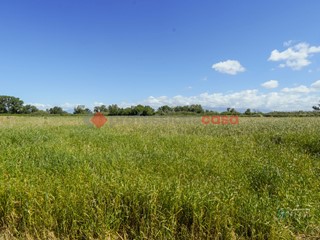 Terreno agricolo in Vendita a Capaccio Paestum, 300'000€, 60000 m²