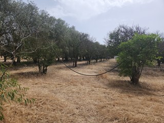 Terreno agricolo in Vendita a San Sperate, 12'000€, 4120 m²