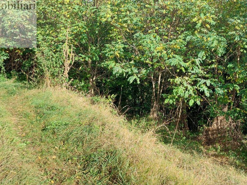 Terreno agricolo in Vendita a Vestenanova, 60'000€, 11111 m²