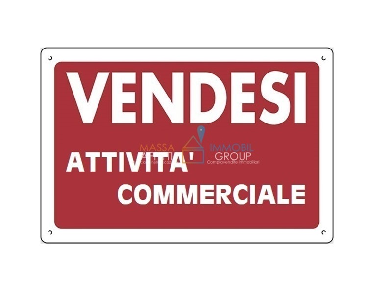 Attività commerciale in Vendita a Massa, zona Marina Di Massa, 80 m², arredato