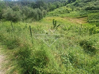 Terreno agricolo in Vendita a Carrara, 19'000€, 2000 m²