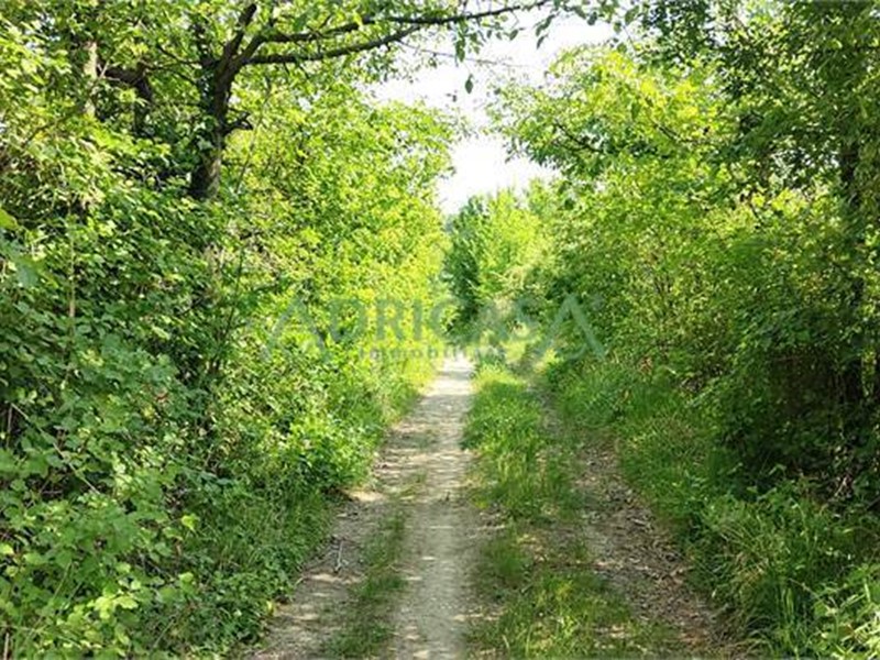 Attività commerciale in Vendita a Roncofreddo, 430'000€, 350000 m²