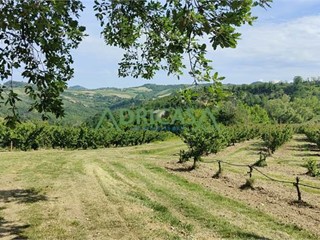 Attività commerciale in Vendita a Roncofreddo, 430'000€, 350000 m²