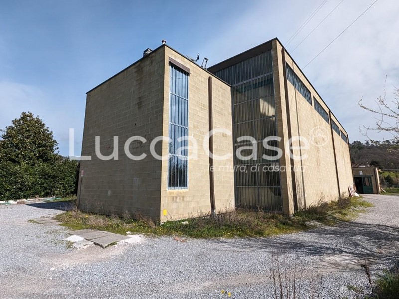 Capannone in Affitto a Lucca, zona Mutigliano, 4'000€, 1050 m²