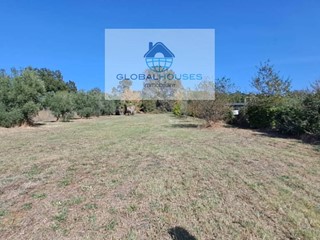 Terreno agricolo in Vendita a Anguillara Sabazia, 45'000€, 4400 m²