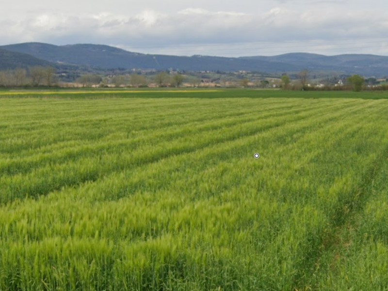 Terreno agricolo in Vendita a Sovicille, zona San Rocco a Pilli, 150'000€, 83000 m²