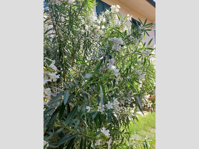 Appartamento in Vendita a Castelfranco di Sotto, 165'000€, 100 m²