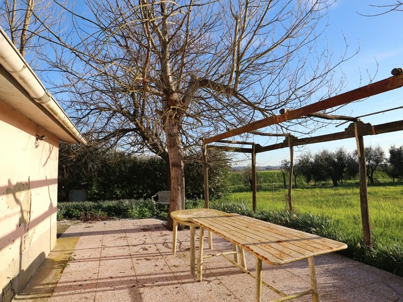 Terreno agricolo in Vendita a Santa Maria a Monte, zona Montecalvoli Basso, 55'000€, 3000 m²