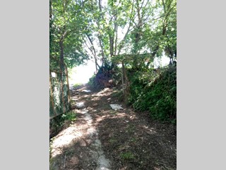 Terreno agricolo in Vendita a Crespina Lorenzana, zona Tremoleto, 58'000€, 10000 m²