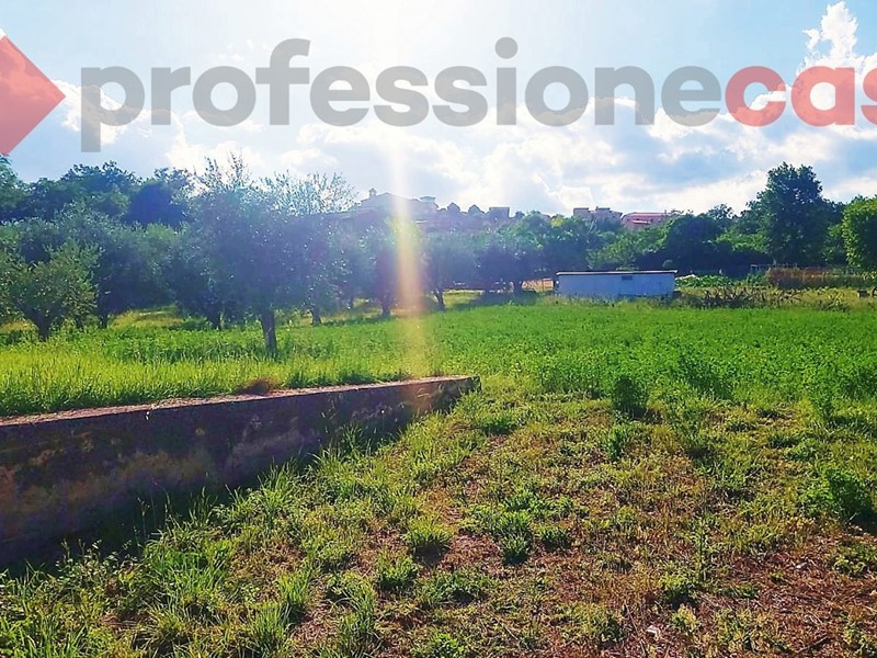 Terreno agricolo in Vendita a Piedimonte San Germano, 55'000€, 5000 m²