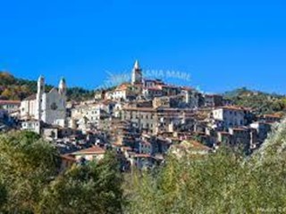 Terreno agricolo in Affitto a Ceriana, 1257 m²