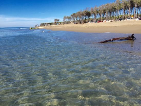 Trilocale in Affitto a Grosseto, zona MARINA DI ALBERESE, 40 m², arredato, con Box