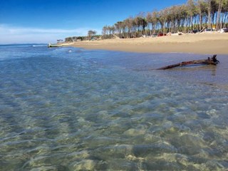 Trilocale in Affitto a Grosseto, zona MARINA DI ALBERESE, 40 m², arredato, con Box