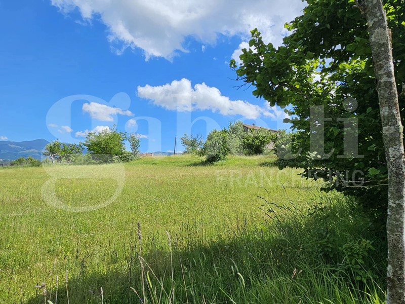 Terreno agricolo in Vendita a Laino Borgo, 65'000€, 9000 m²