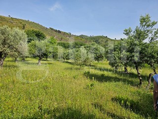Terreno agricolo in Vendita a Praia a Mare, 77'000€, 5190 m²