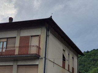 Appartamento in Vendita a Castel Focognano, zona Rassina, 20'000&euro;, 100 m²