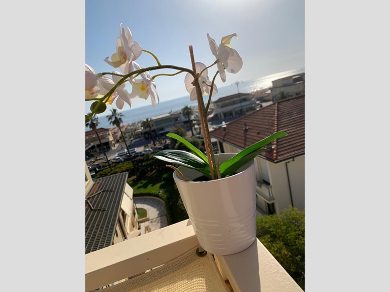 Quadrilocale in Affitto a Viareggio, zona Fascia mare, 95 m², arredato