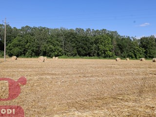 Terreno agricolo in Vendita a Todi, 49'000€, 19954 m²