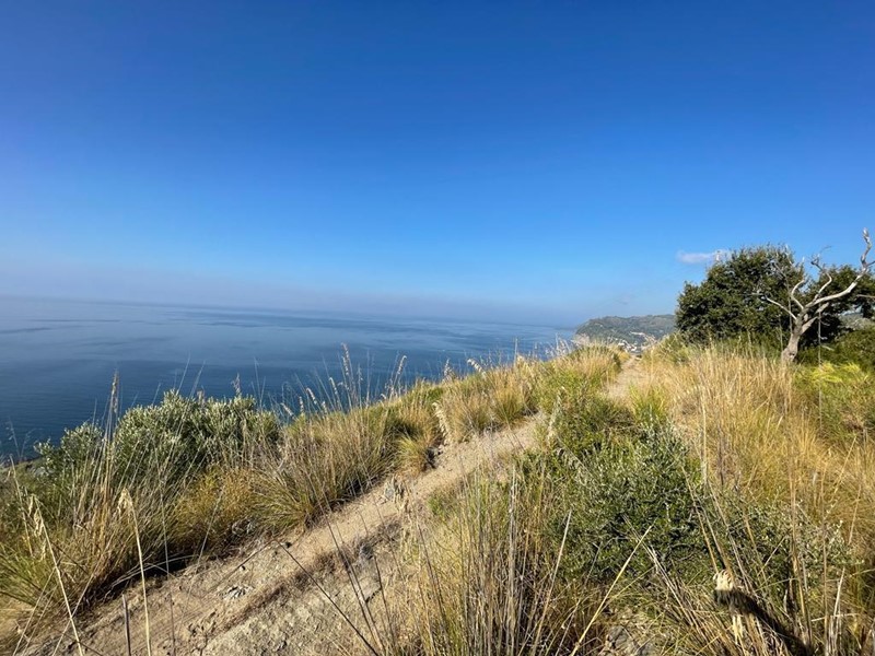 Terreno agricolo in Vendita a Montecorice, 63'000€, 